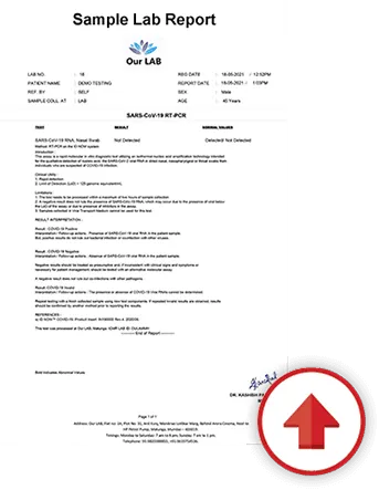 Upload, Secure, and Share Reports