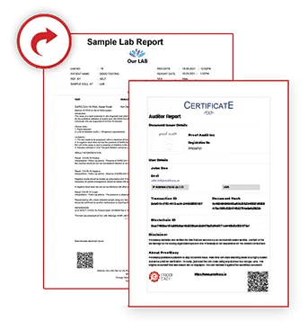Instant Lab Report Validation